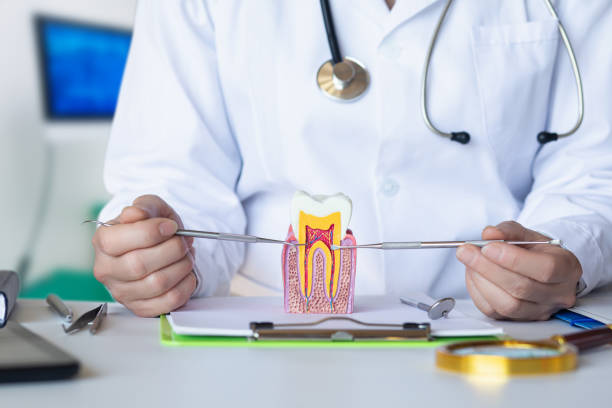 Best Broken or Chipped Tooth Repair in Groves, TX